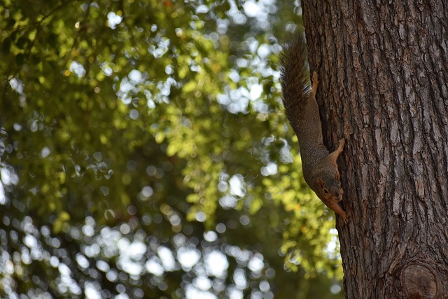 和关键时刻 和关键时刻