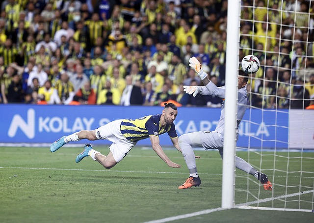 不仅提升了 不仅提升了