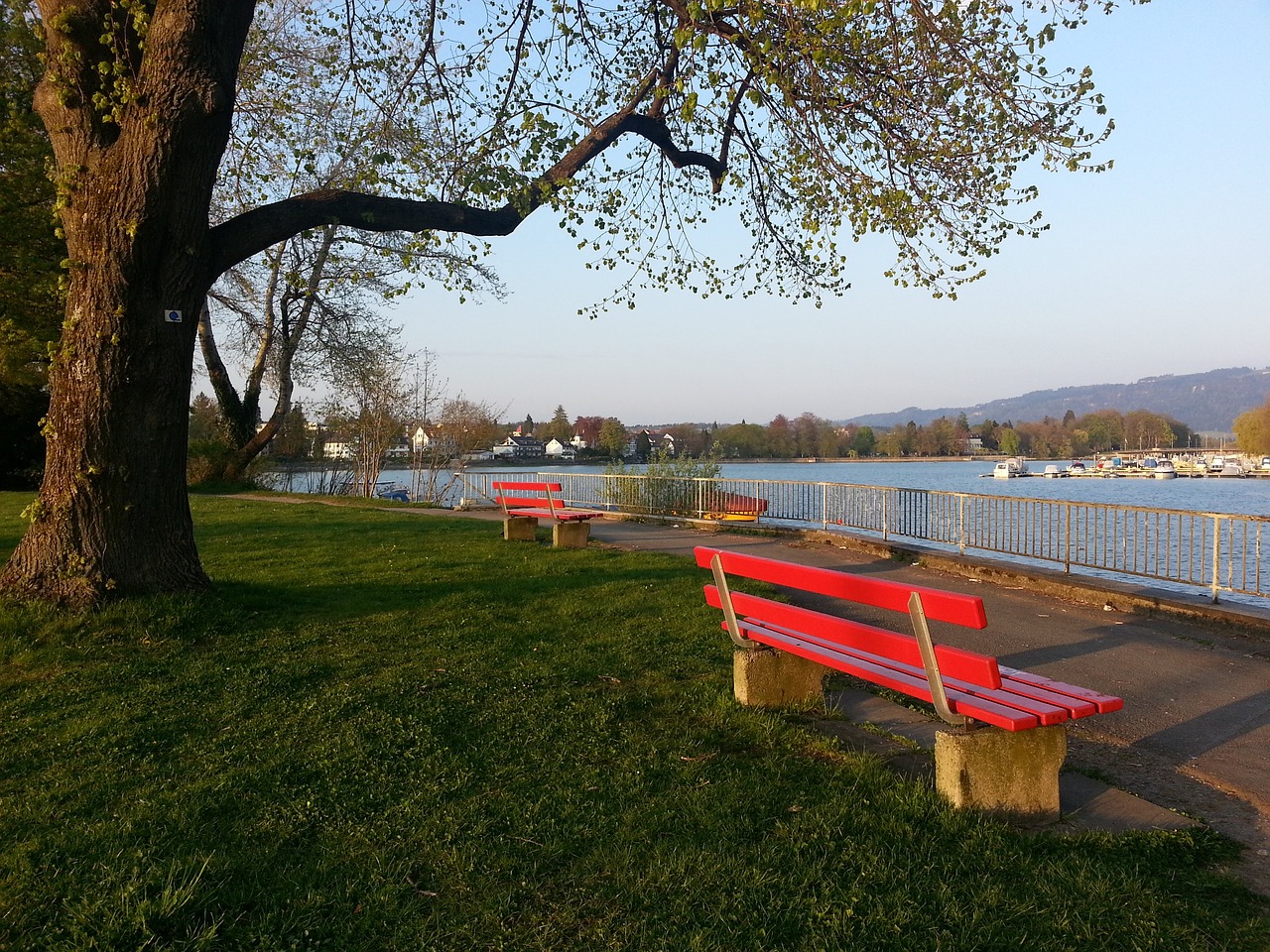 P的赛道 P的赛道