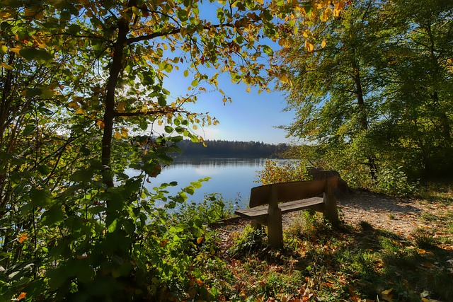 这些球员在 这些球员在