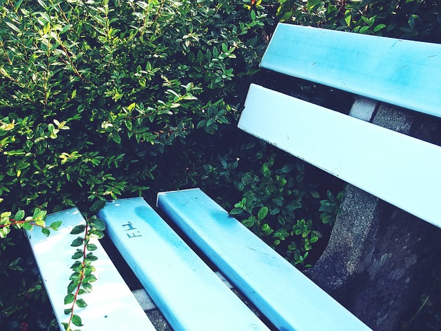 巴特勒勇士 巴特勒勇士