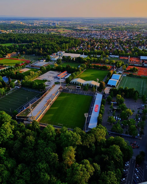 在北京首都 在北京首都